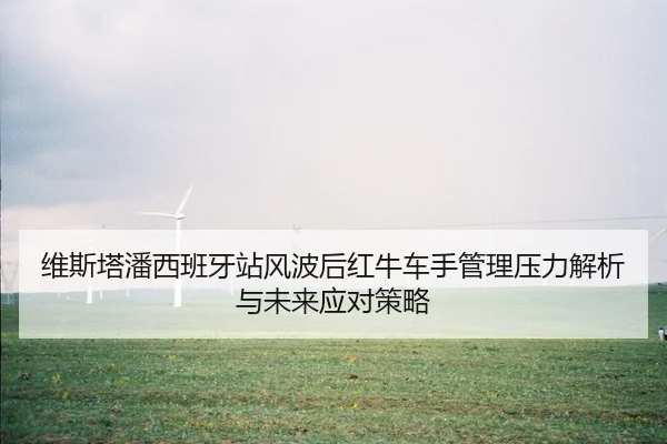 wei-si-ta-pan-xi-ban-ya-zhan-feng-bo-hou-hong-niu-che-shou-guan-li-ya-li-jie-xi-yu-wei-lai-ying-dui-ce-lve-2-353.jpg